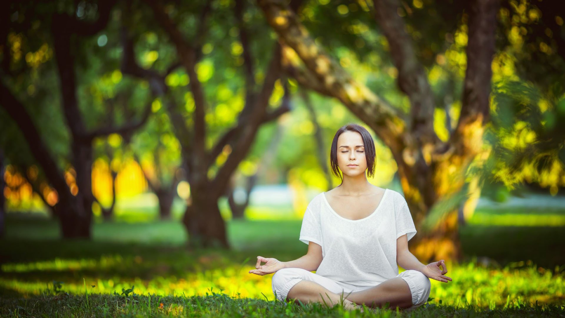 开云体育中国-复仇之火，点燃2026，克罗地亚力克加纳，萨内闪耀控球制胜  第2张